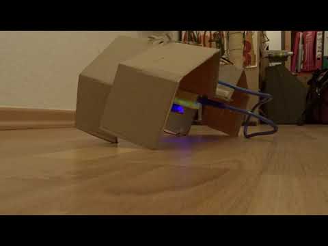 Cardboard Walker Tortoise