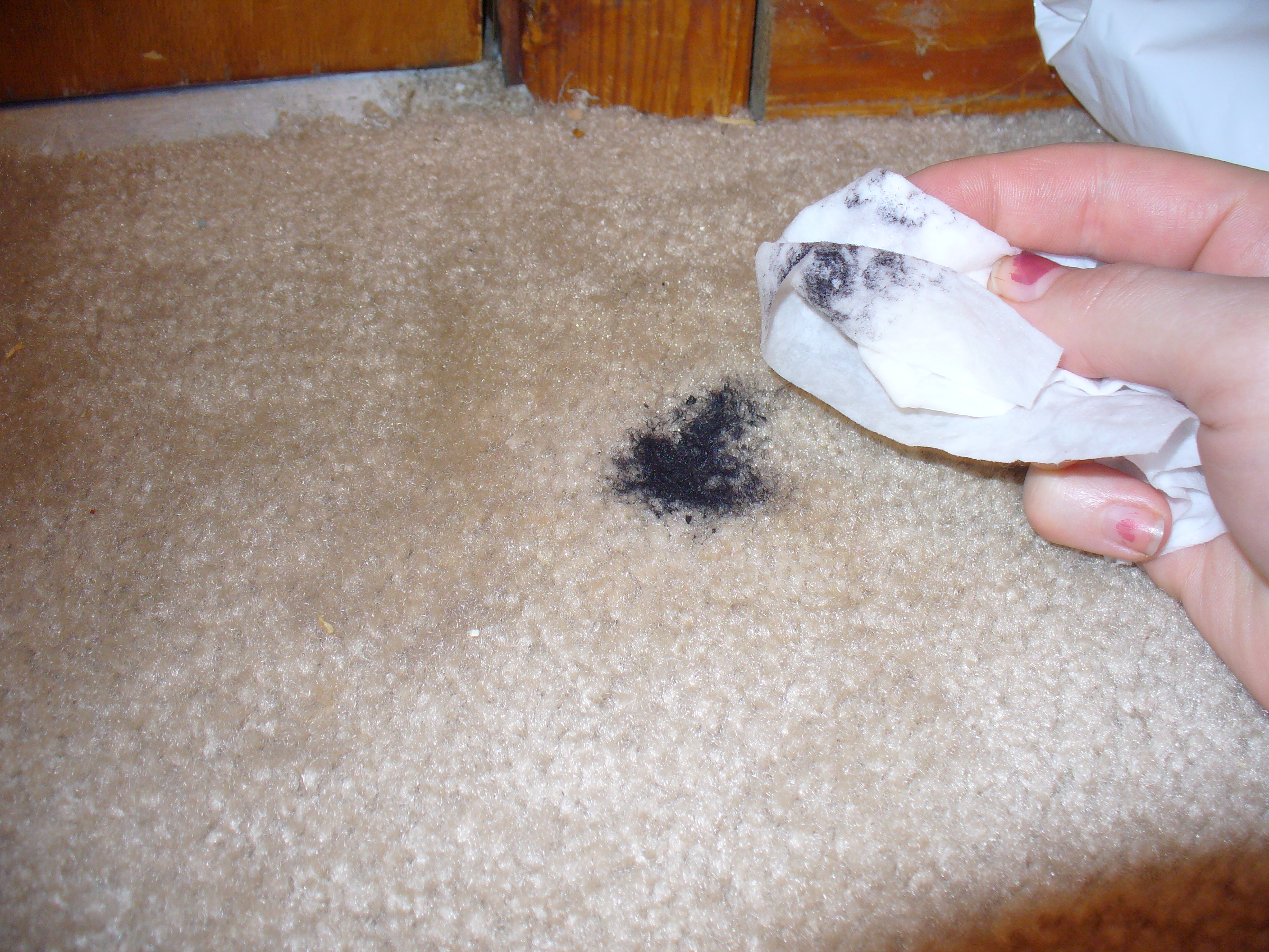 Carpet cleaning 039.JPG