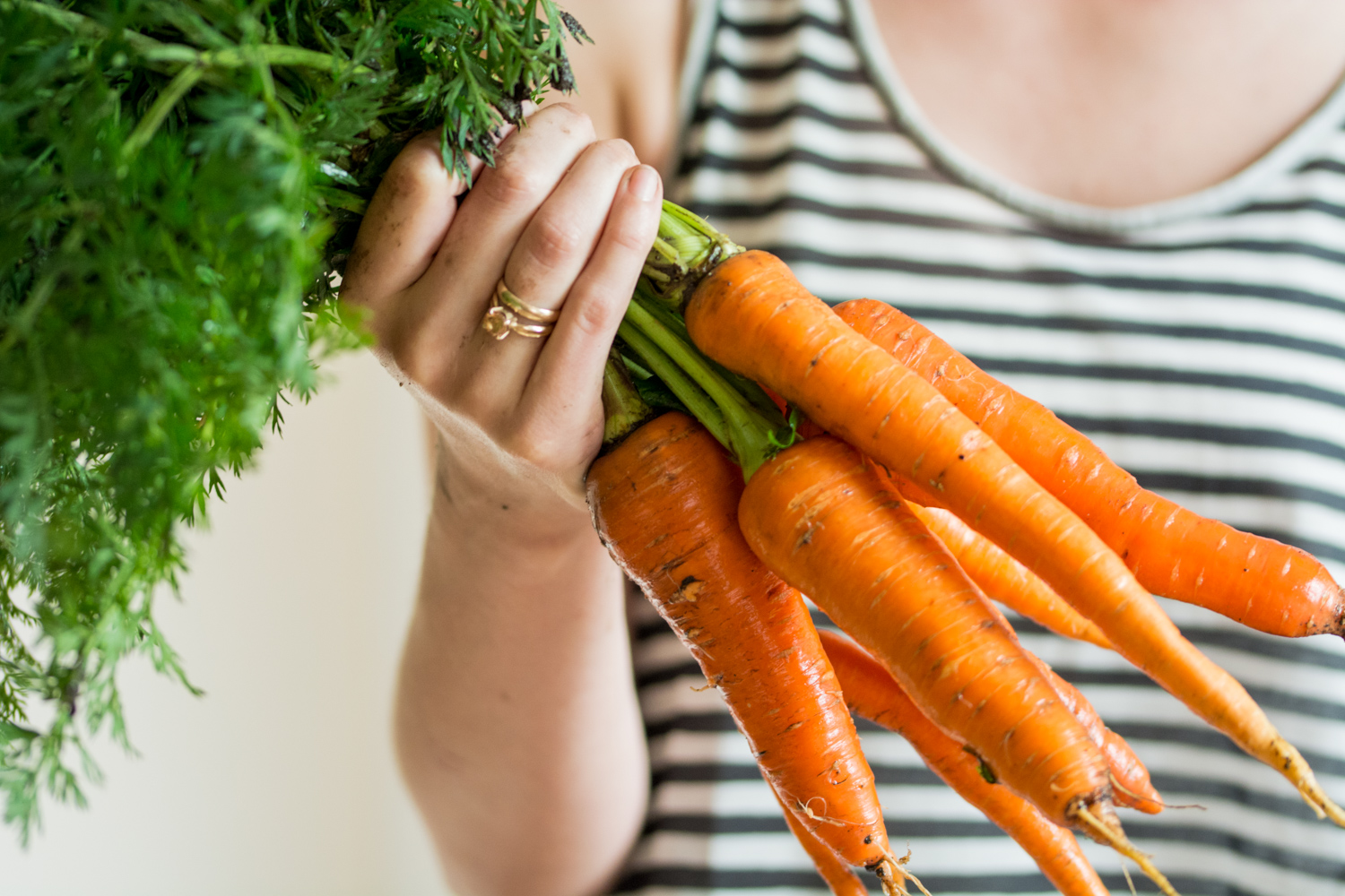 Carrots.jpg