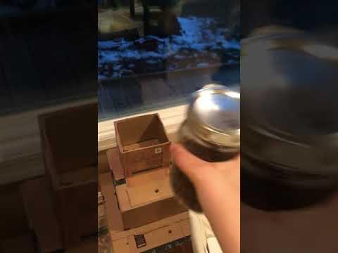 Cat Box Surprise Treat