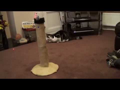 Cat laser tower