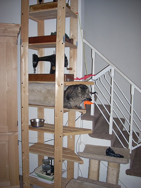 Cat_Tower_Right3.jpg