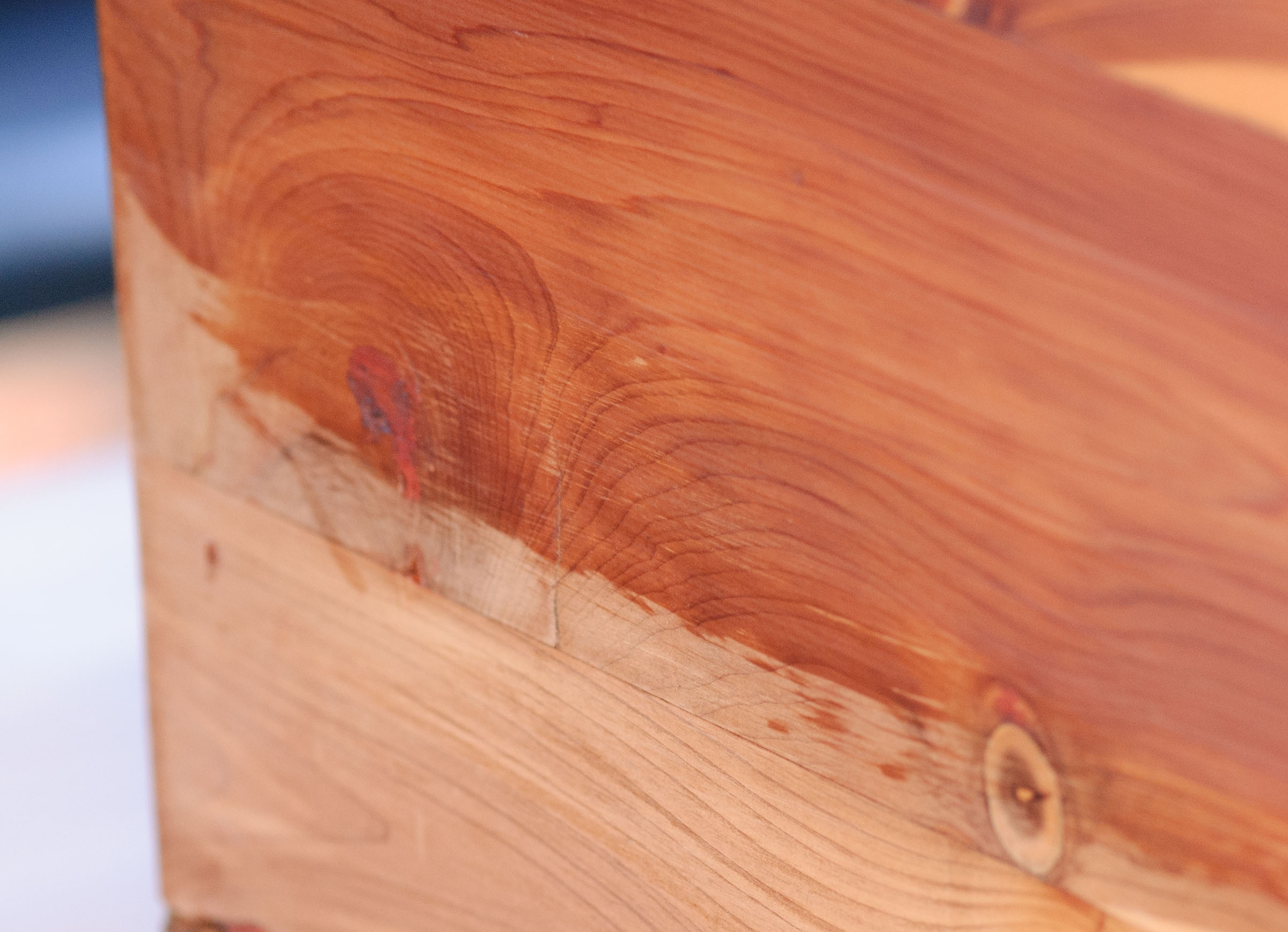 Cedar_20140104154537_0487.jpg