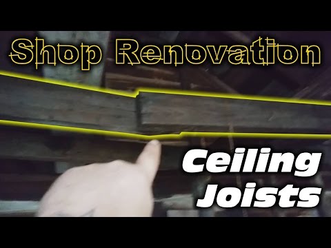 Ceiling Joists - Shop Renovation 2017