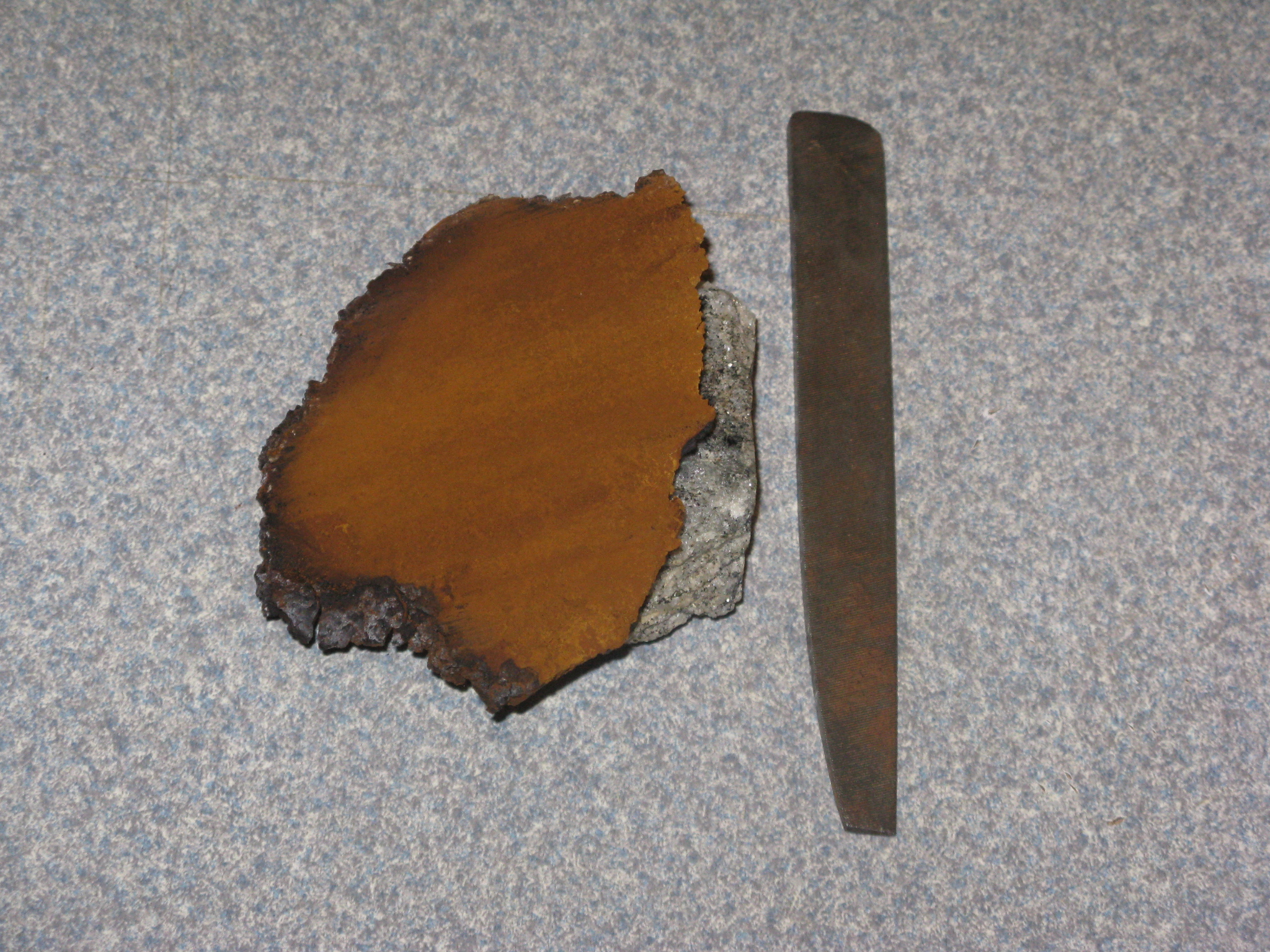 Chaga 6e.JPG