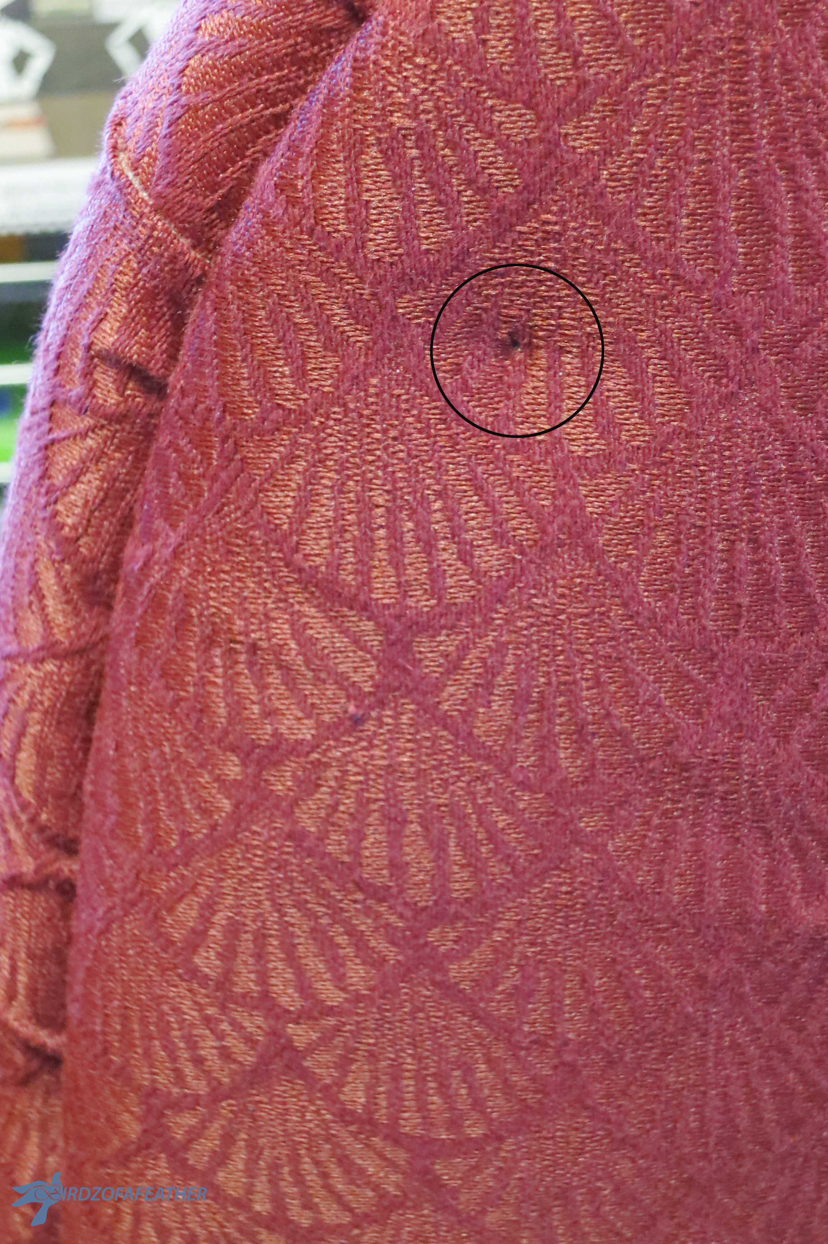 Chair Makeover 113_BOF.jpg