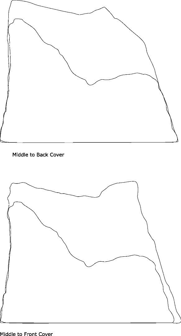 Chert Interpolations Middle, Front and Back.png