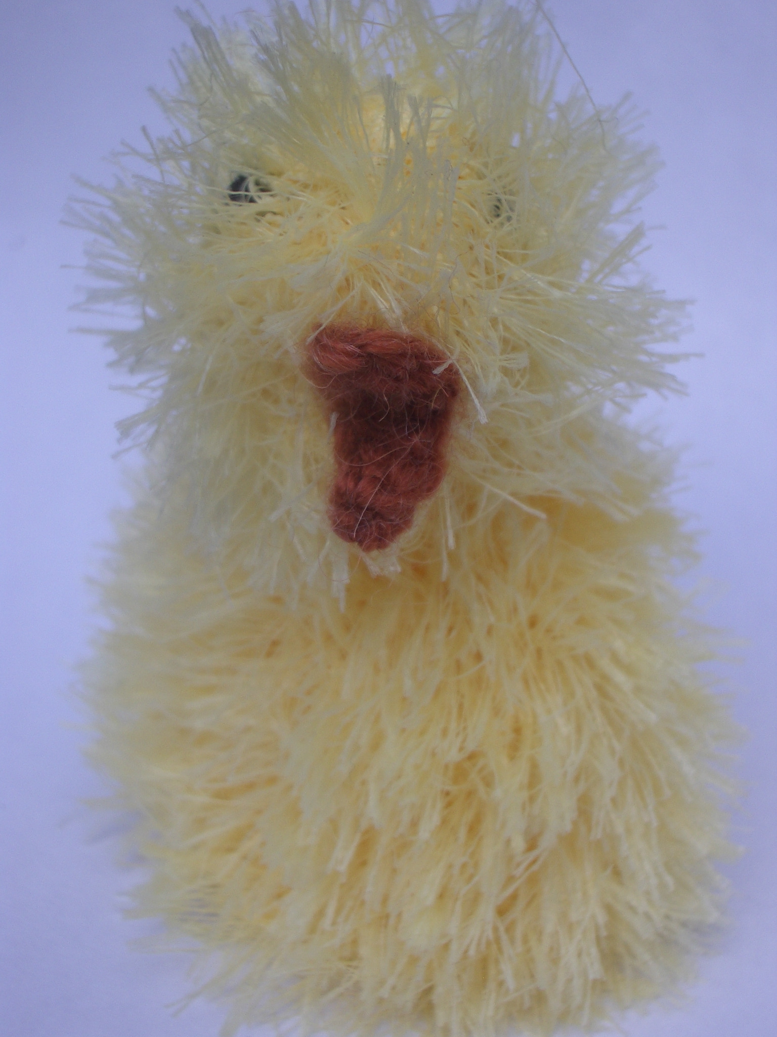 Chick cosy 1.JPG