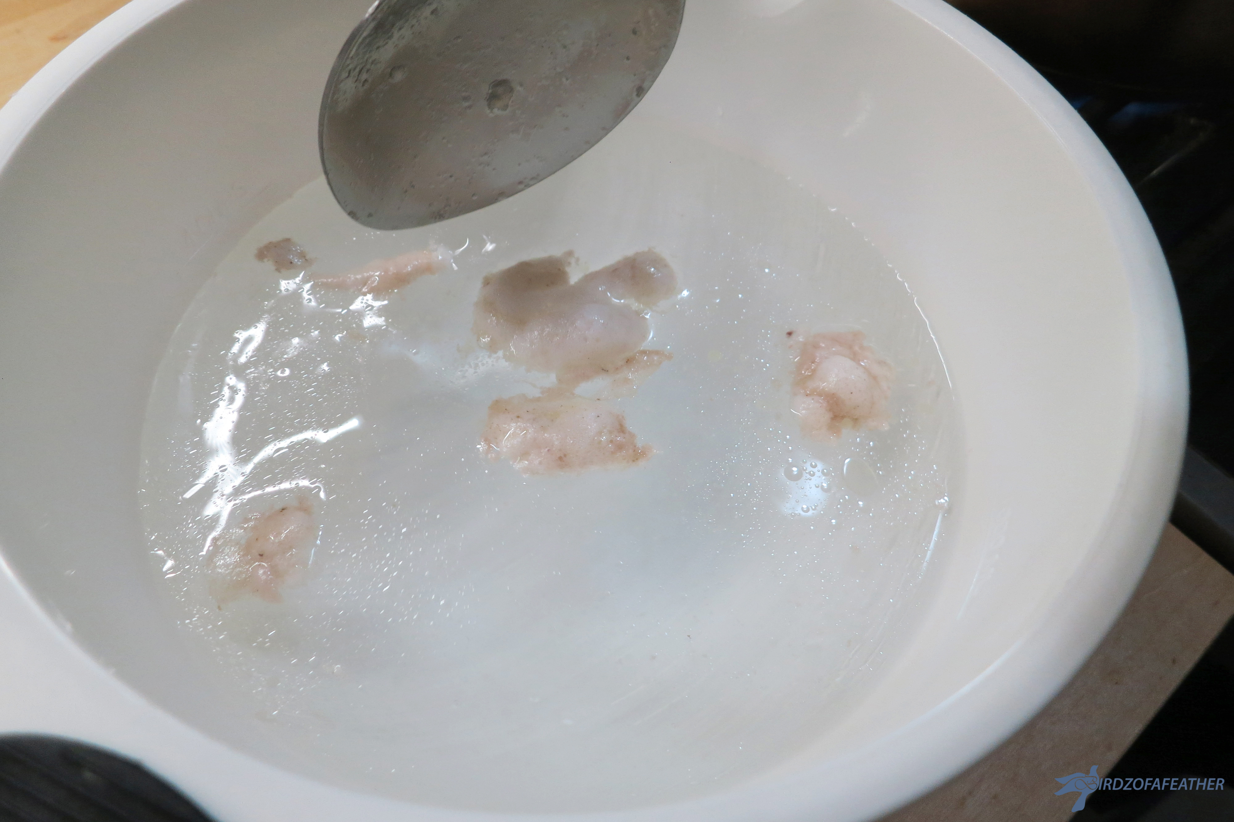 Chicken Soup 060_BOF.jpg