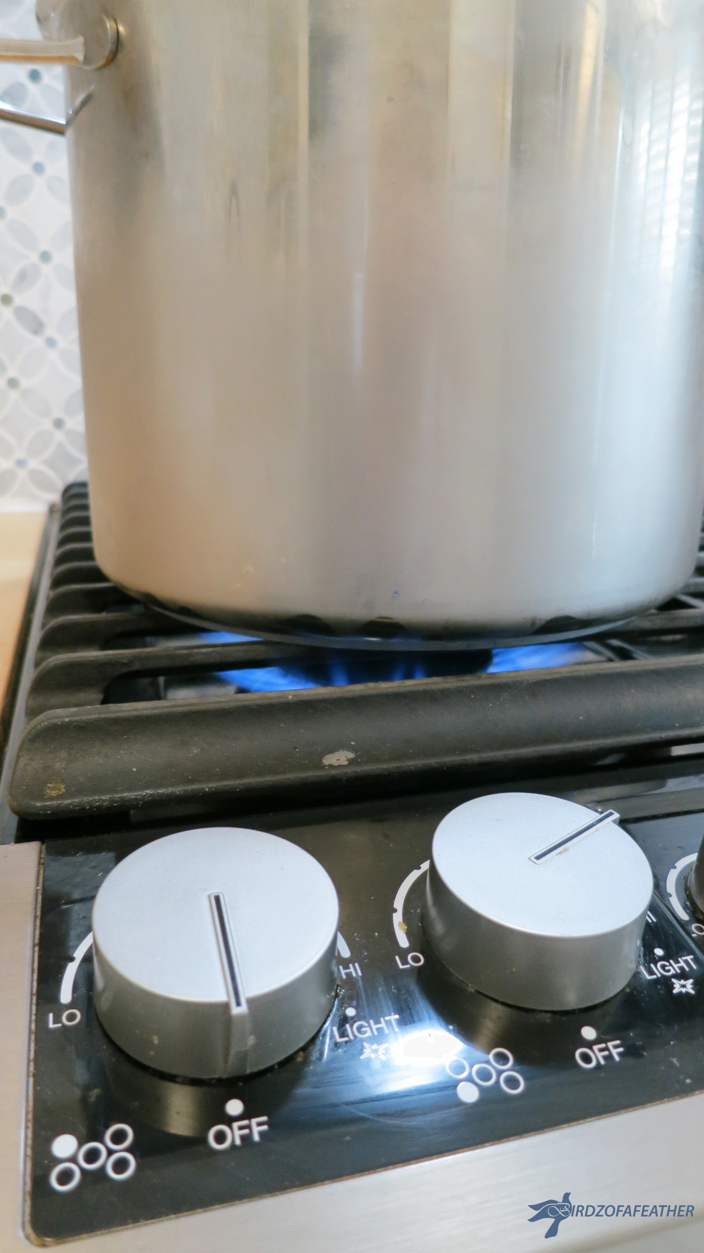 Chicken Soup with Matzo Balls 065_BOF.jpg