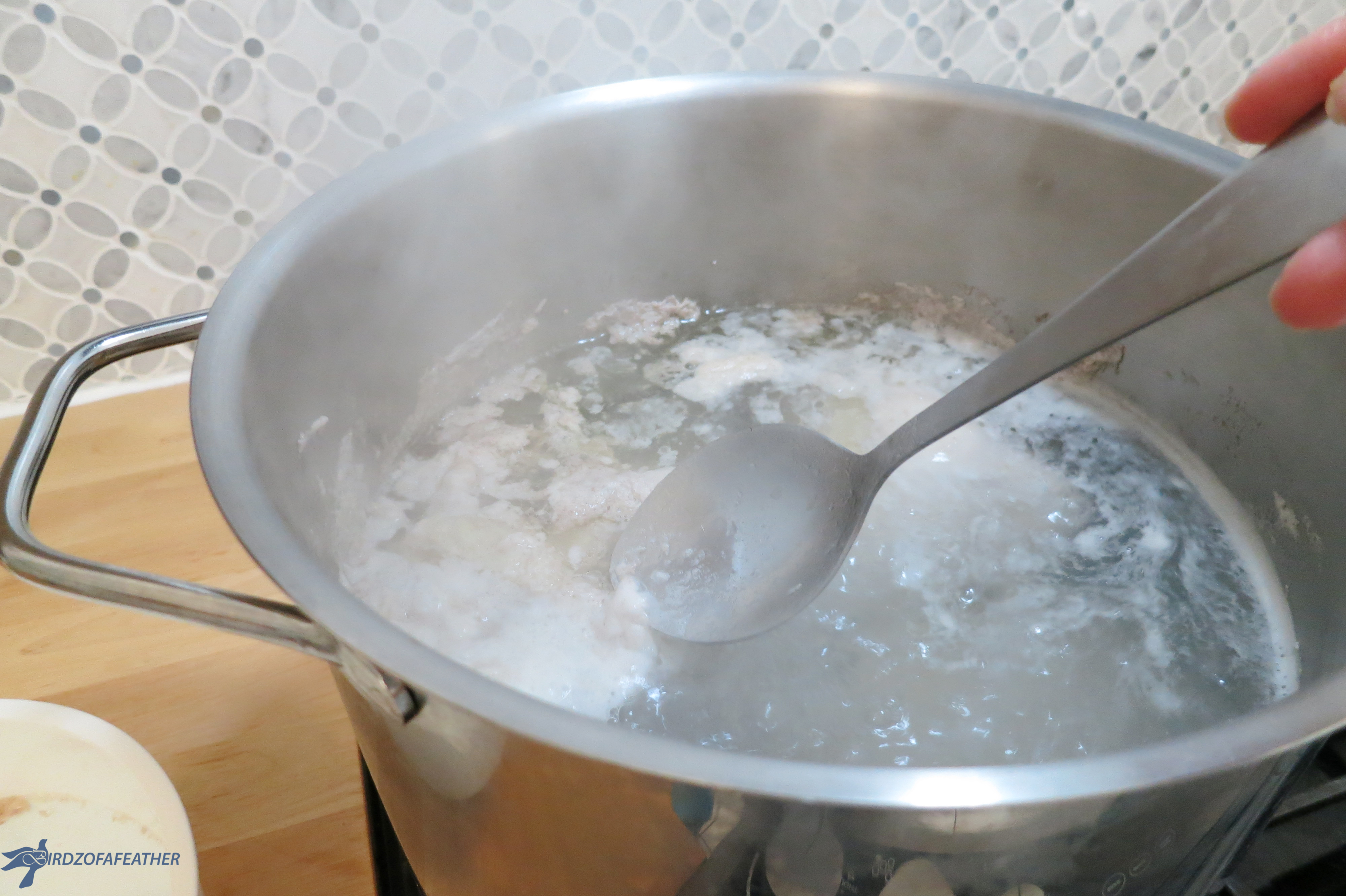 Chicken Soup with Matzo Balls 090_BOF.jpg