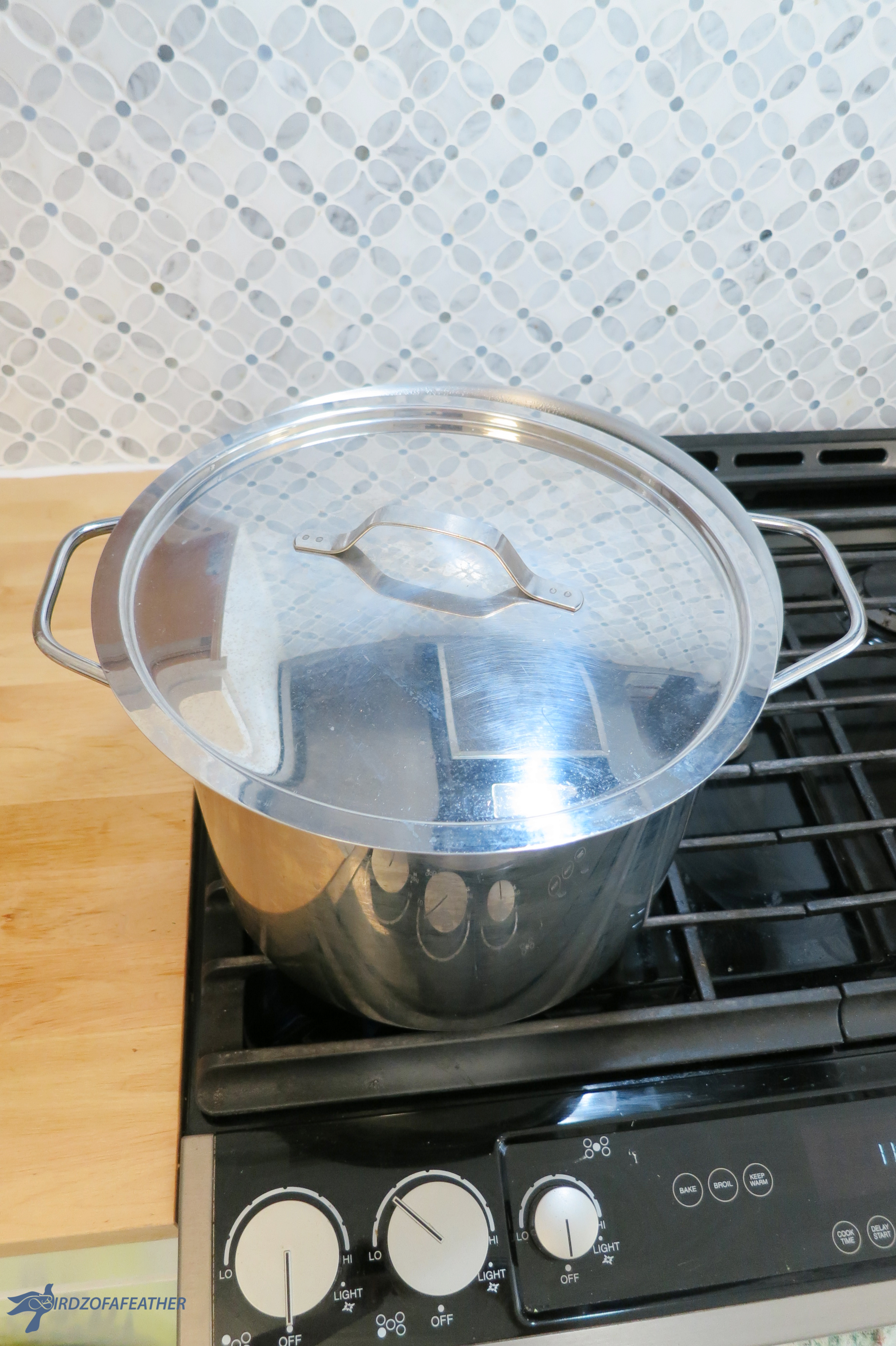 Chicken Soup with Matzo Balls 102_BOF.jpg