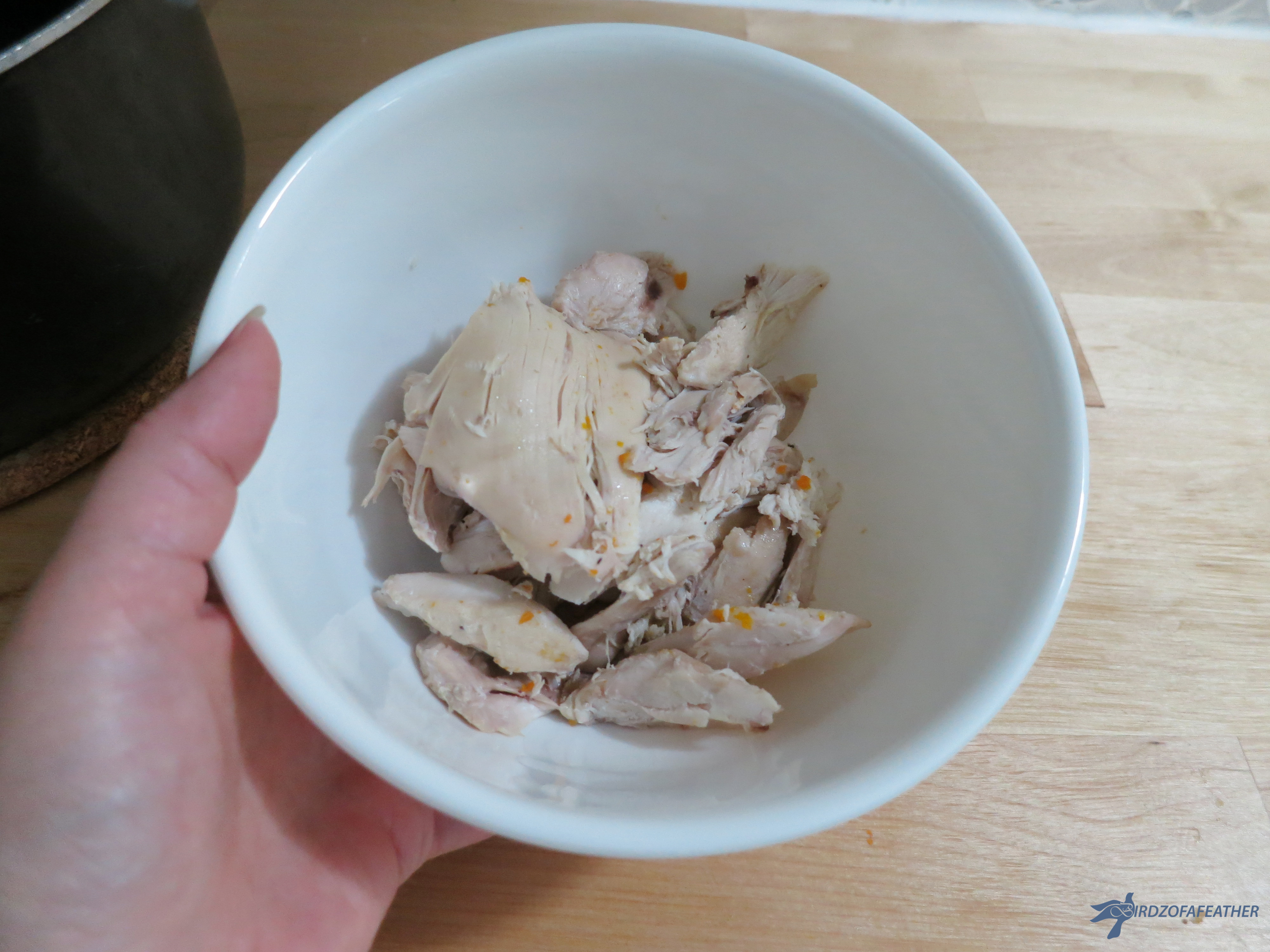 Chicken Soup with Matzo Balls 124_BOF.jpg