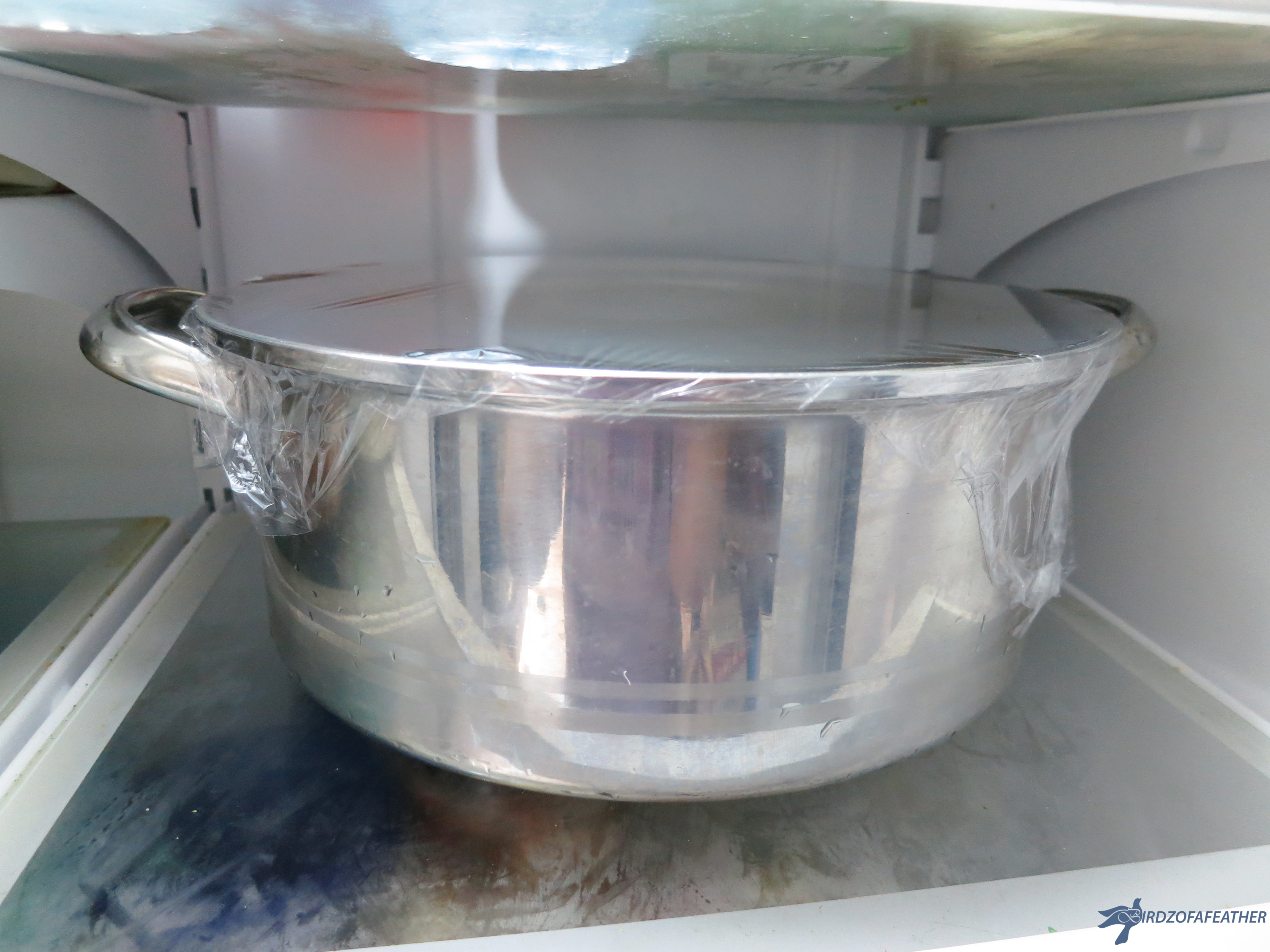 Chicken Soup with Matzo Balls 131_BOF.jpg
