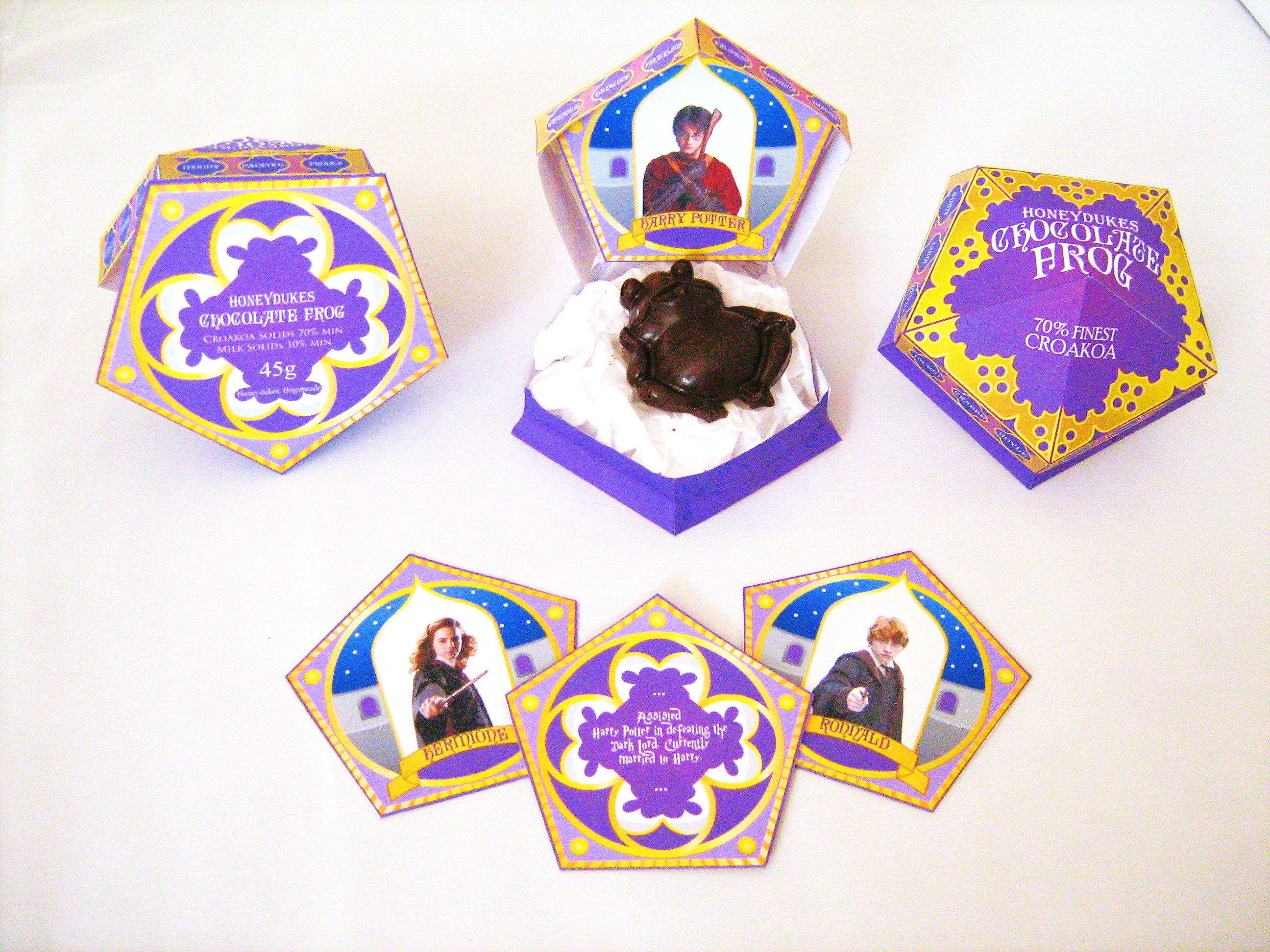 Chocolate Frog box.jpg