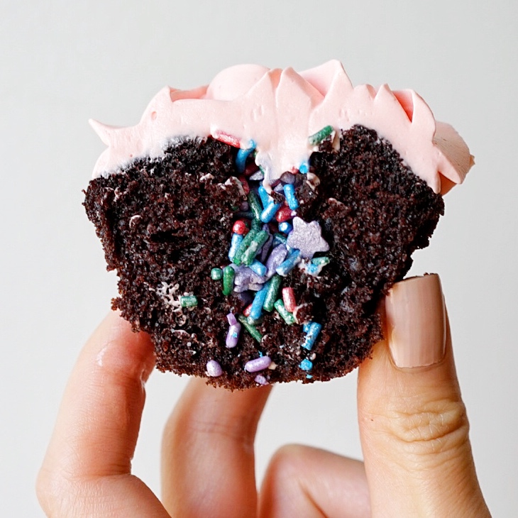 Chocolate cupcake with sprinkles.jpg