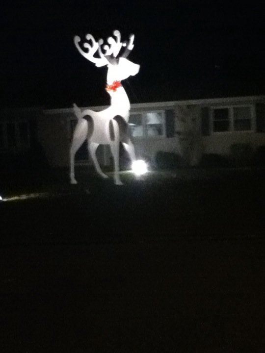 Christmas Reindeer Decoration.jpg