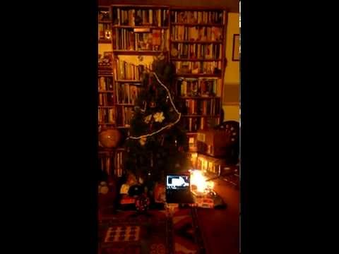 Christmas Tree Light Controller Test 1