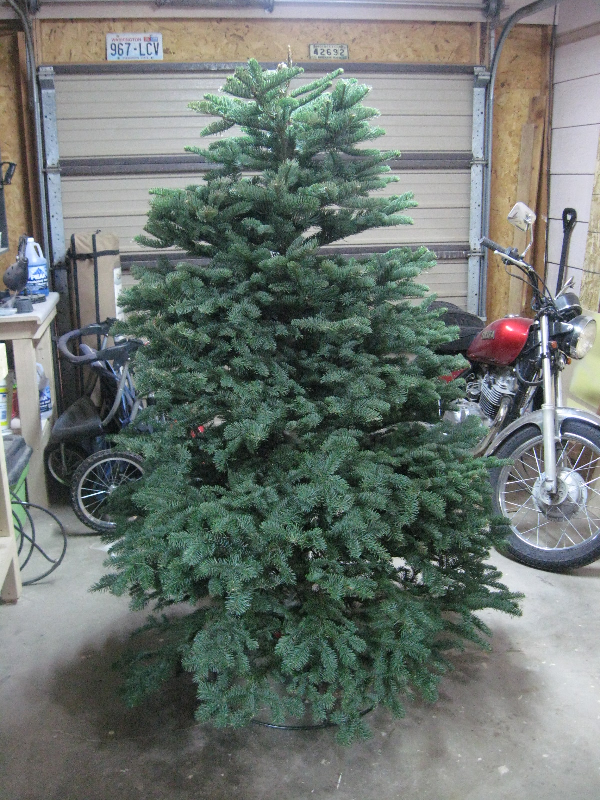 Christmas tree 005.jpg
