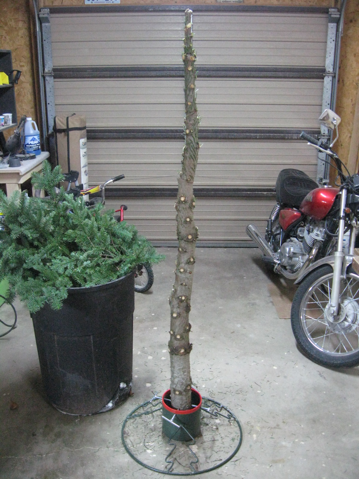 Christmas tree 012.jpg