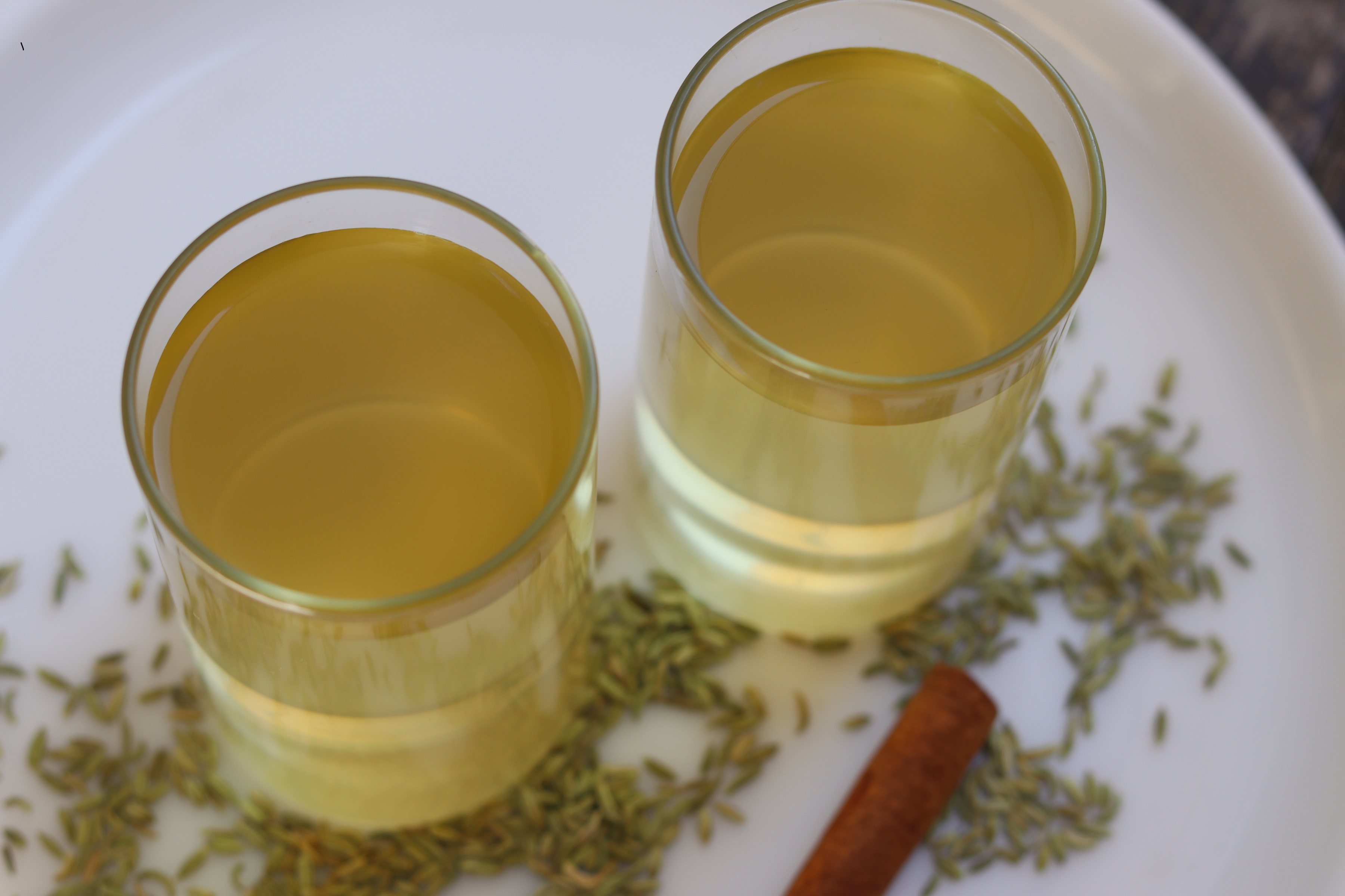 Cinnamon Fennel Drink.jpg