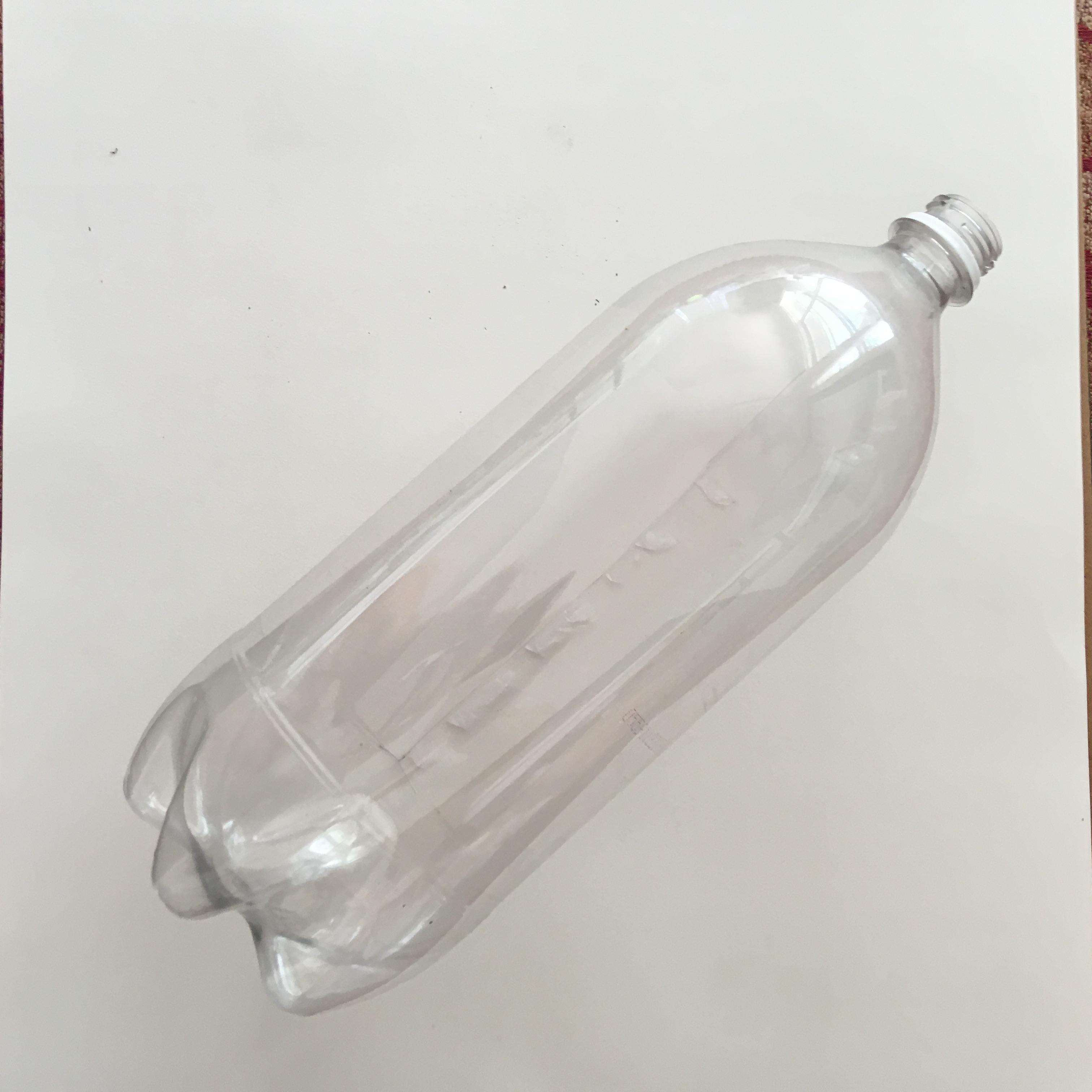 Clean 2L bottle.JPG