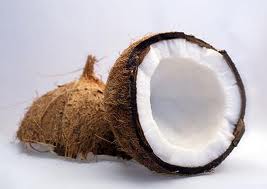 Coconut Mature.jpg