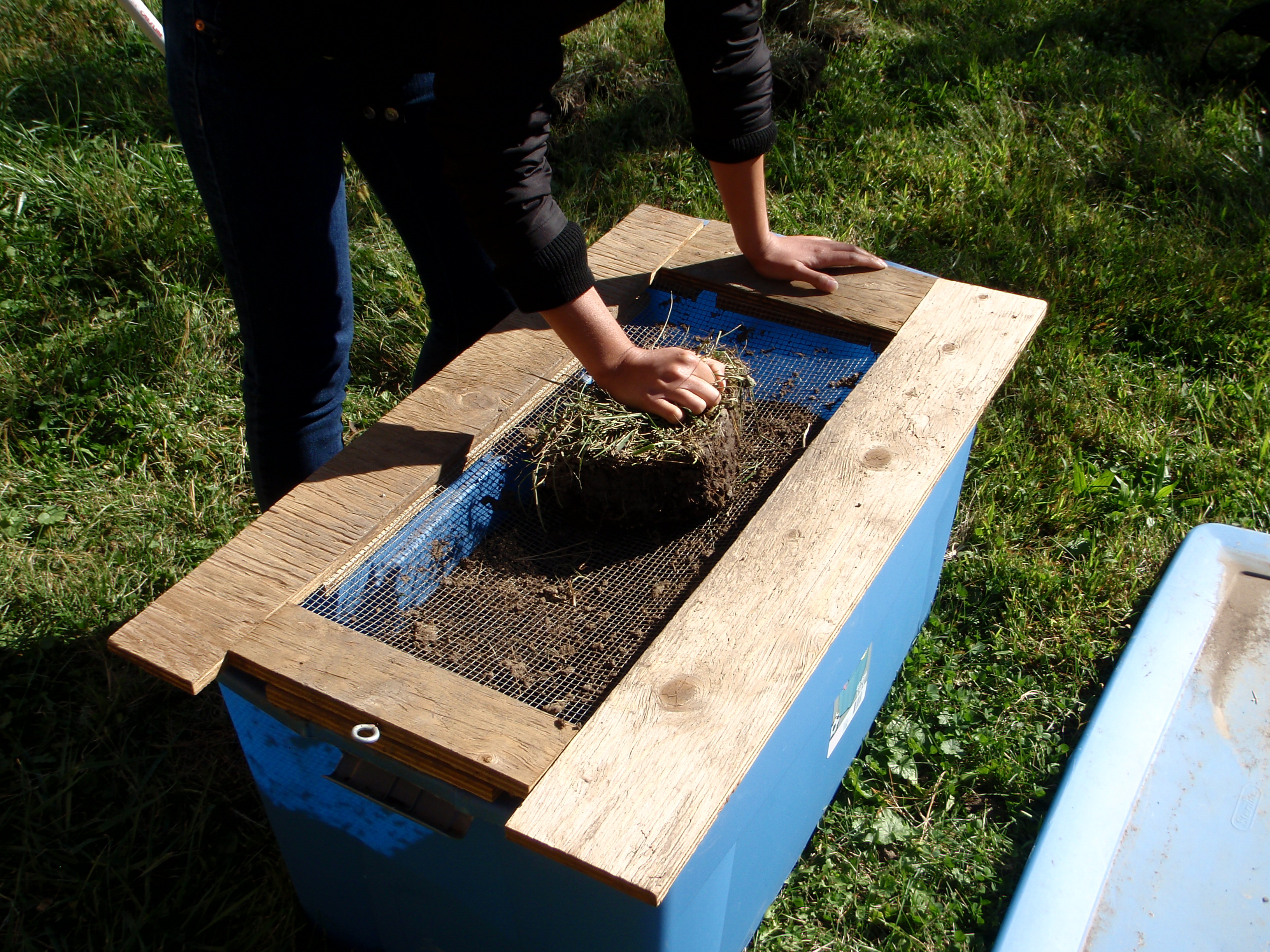 Cold Frame 005.JPG