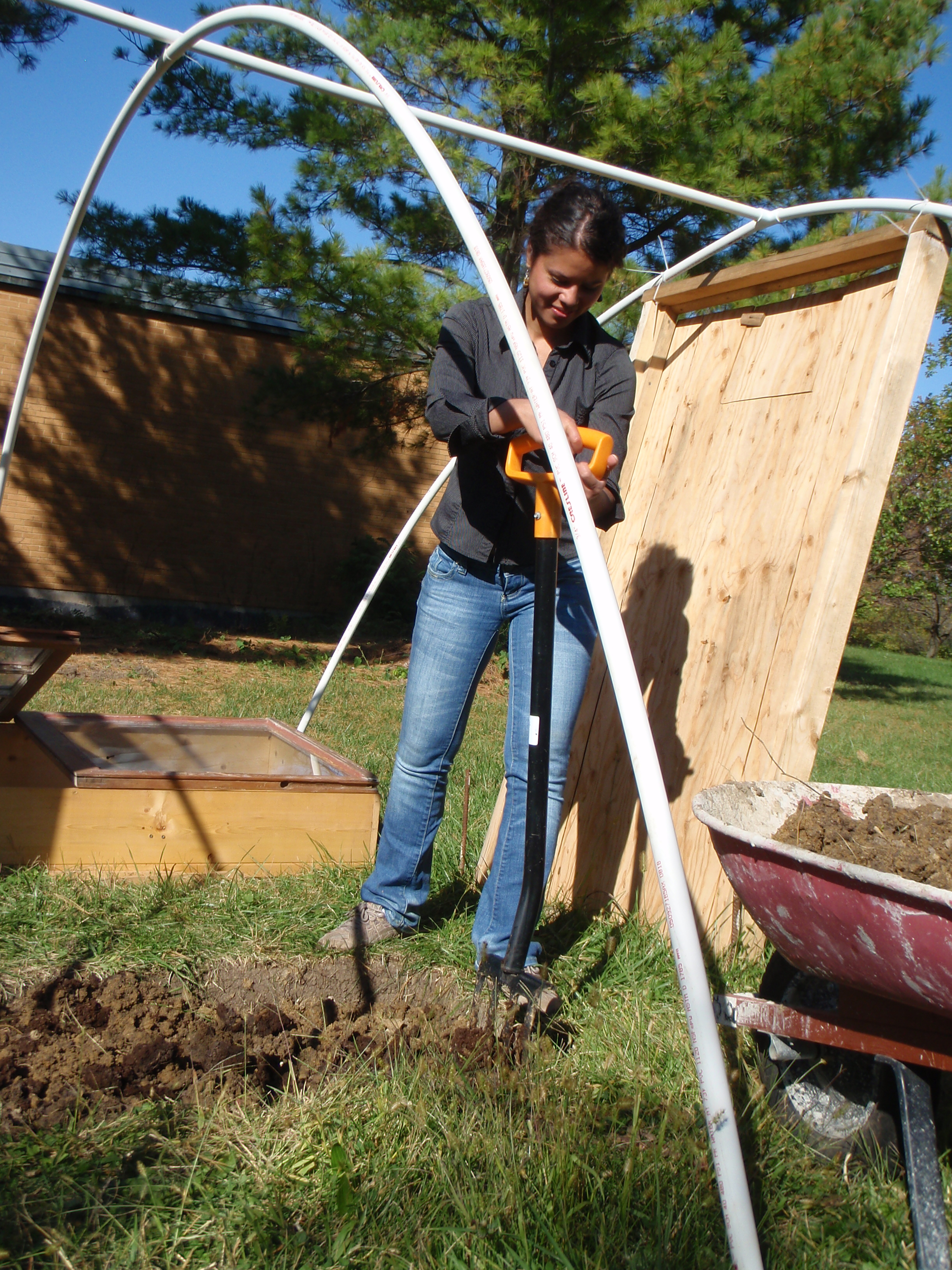 Cold Frame 014.JPG