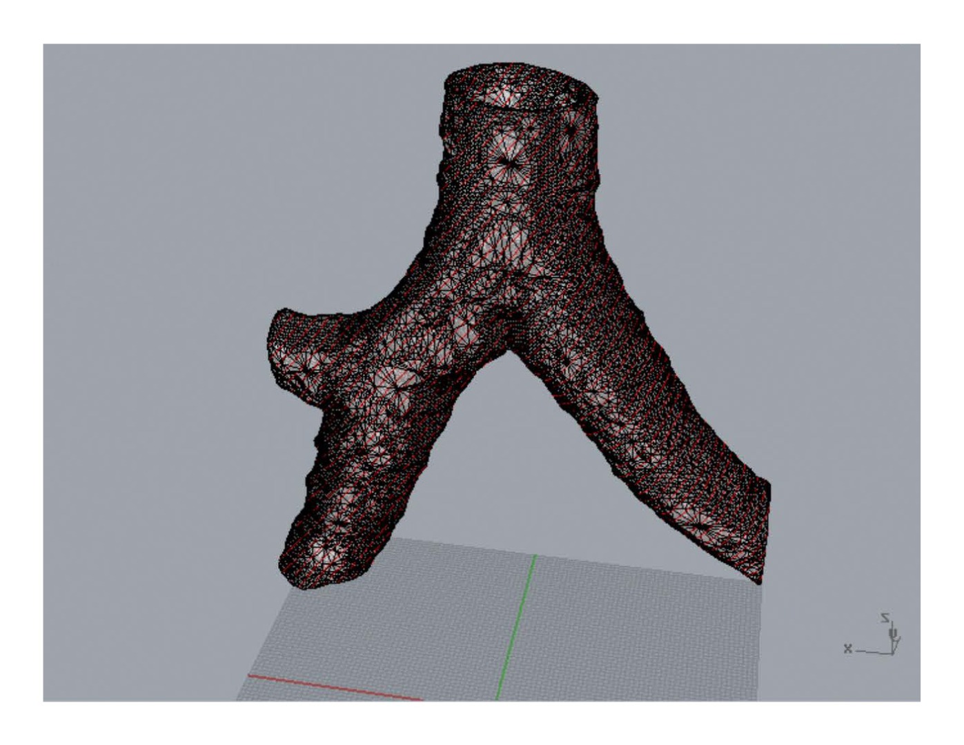 CooperTrachea_Presentation_Page_11.jpg