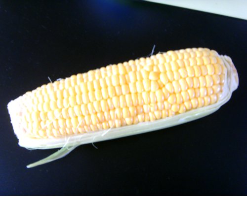 Corn 2.jpg