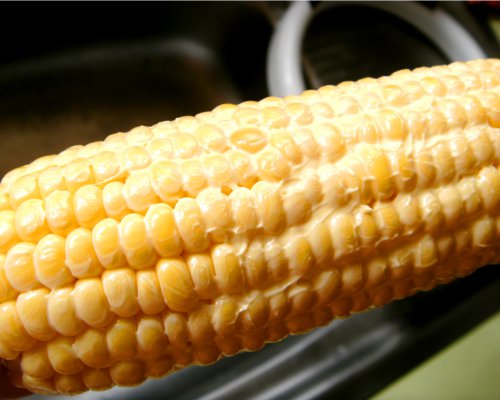 Corn 3.jpg