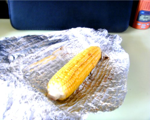 Corn 9.jpg