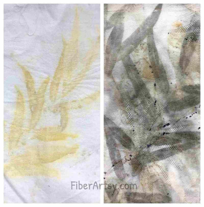 Cotton-fabric-eco-printed-with-Willow-leaves-and-an-iron-modifier-1.jpeg