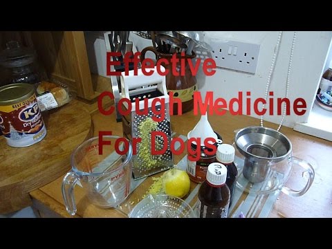 Cough Syrup Medicine For Dogs, Home Made Recipe Highly Effective Remedy for Kennel Cough