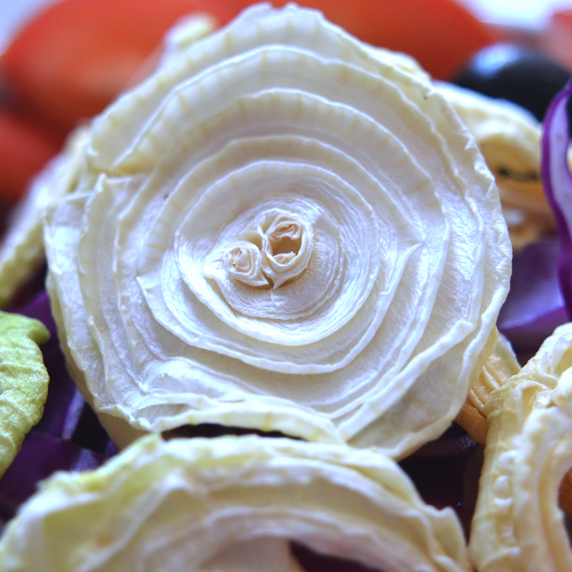 Cover_Onion Chip Salad 1.jpg