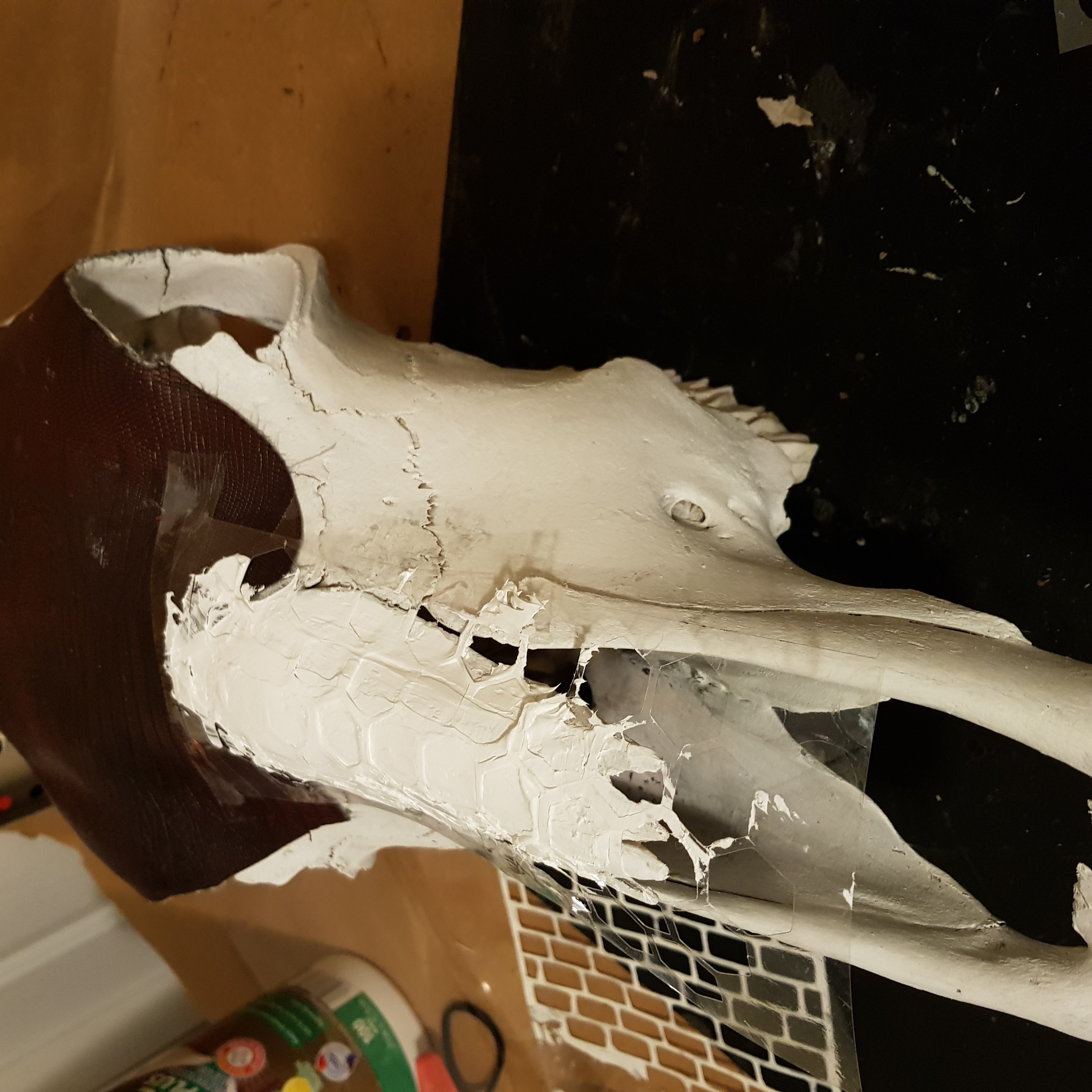 Cow Skull Art (6).jpg
