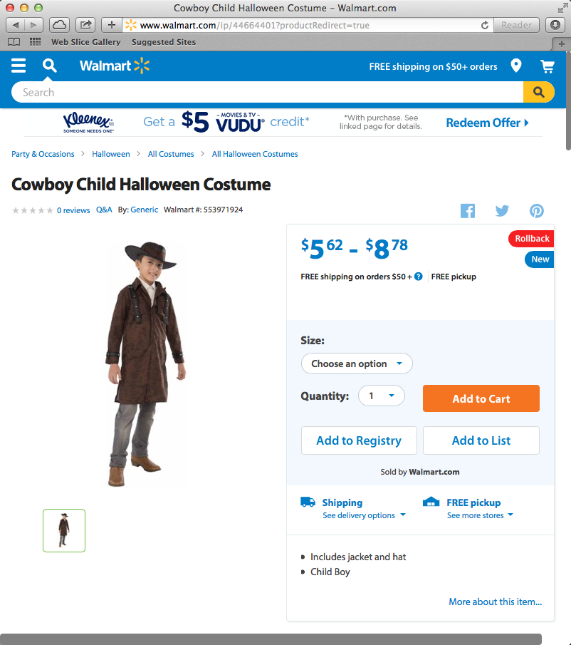 CowboyCostume.jpg