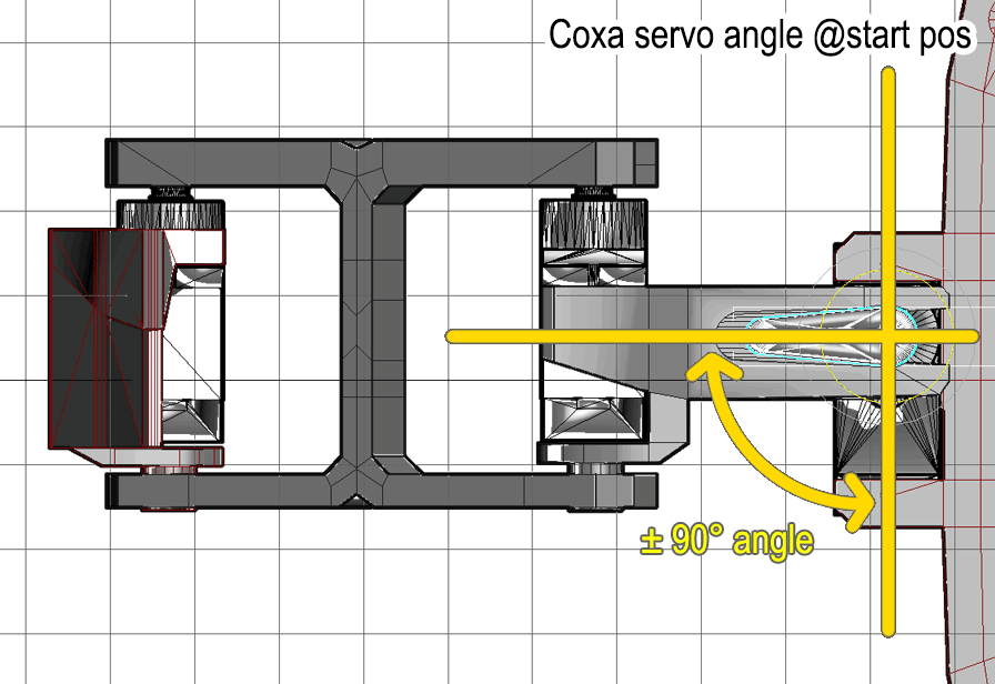 Coxa-angle.png