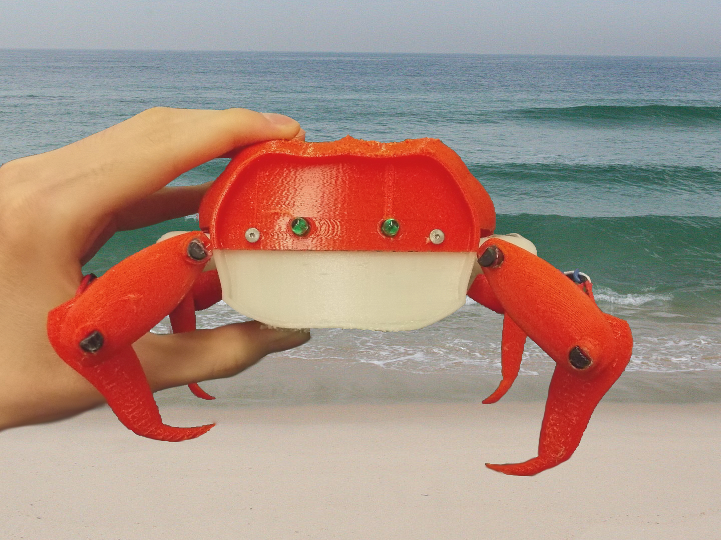 CrabTitle.JPG