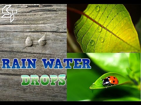 Create Rain Water Drops -  Photoshop Tutorial