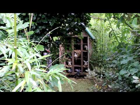 Creating a Food Forest from a Field. Notre Jardin Forestier. Crear un bosque de alimentos