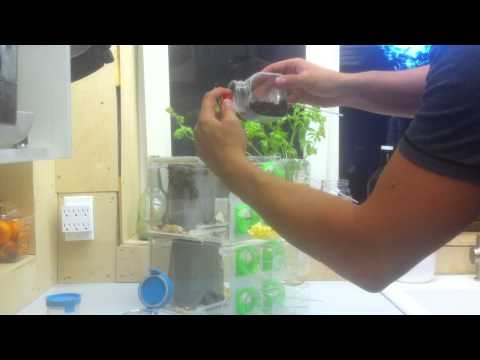 Cricket-Reactor Prototype Tutorial 5: Egg Laying Cartridge