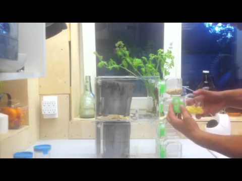 Cricket-Reactor Tutorial 4: Loading the Feed and Water Cartridges