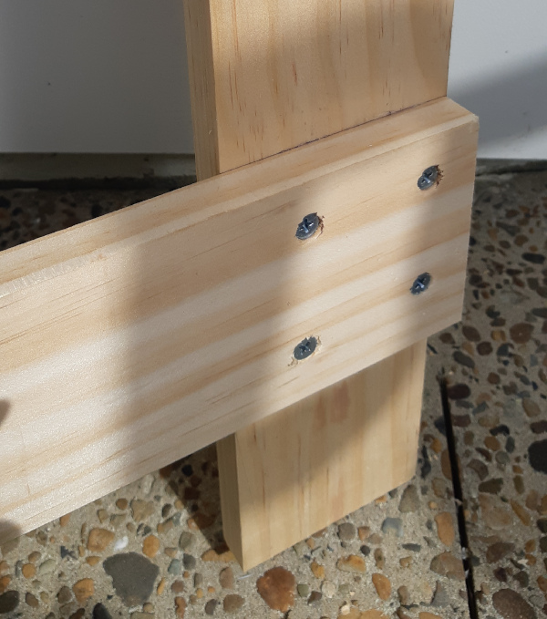 CrossBeam.jpg