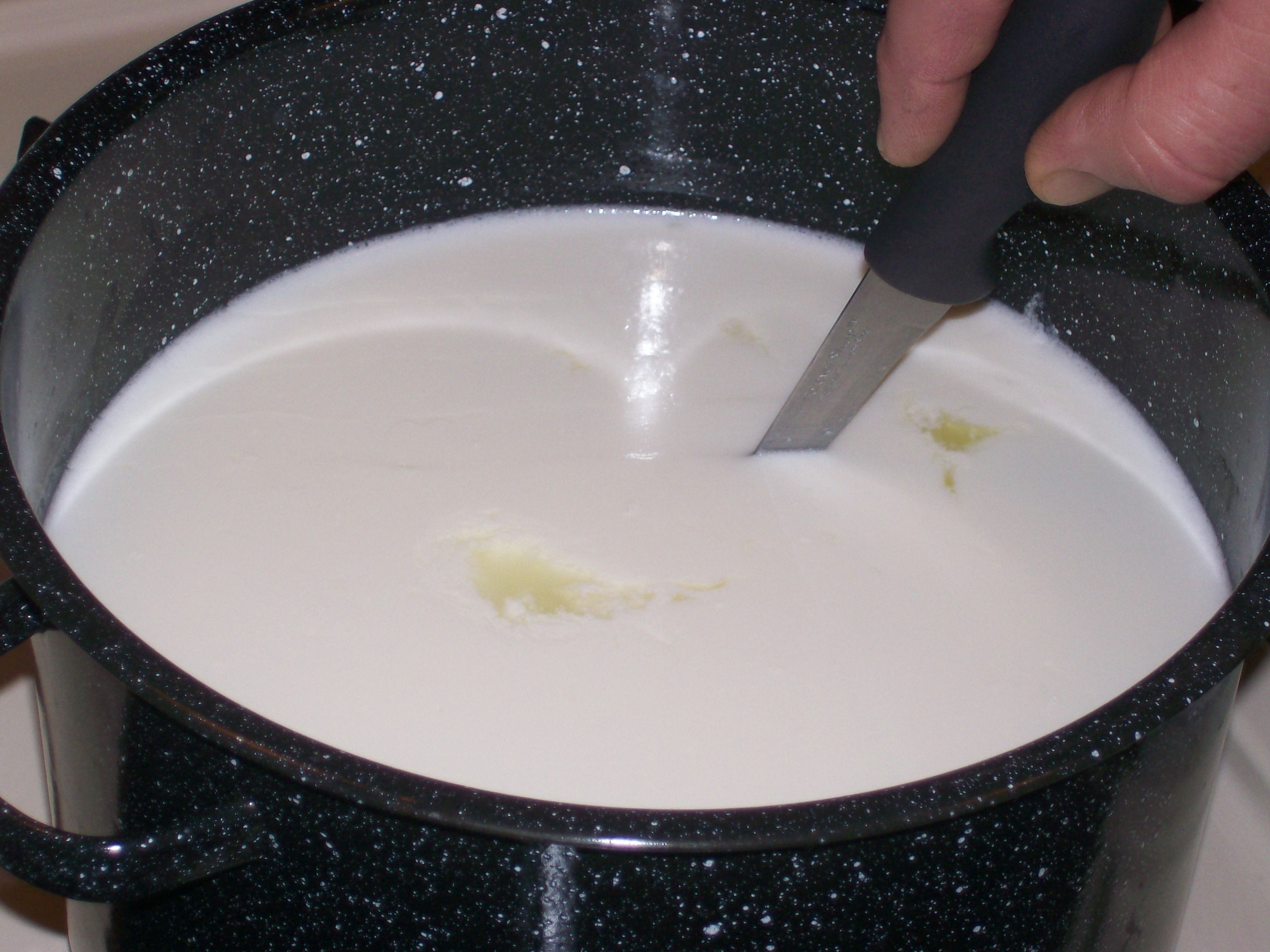 Cut Curd1.jpg