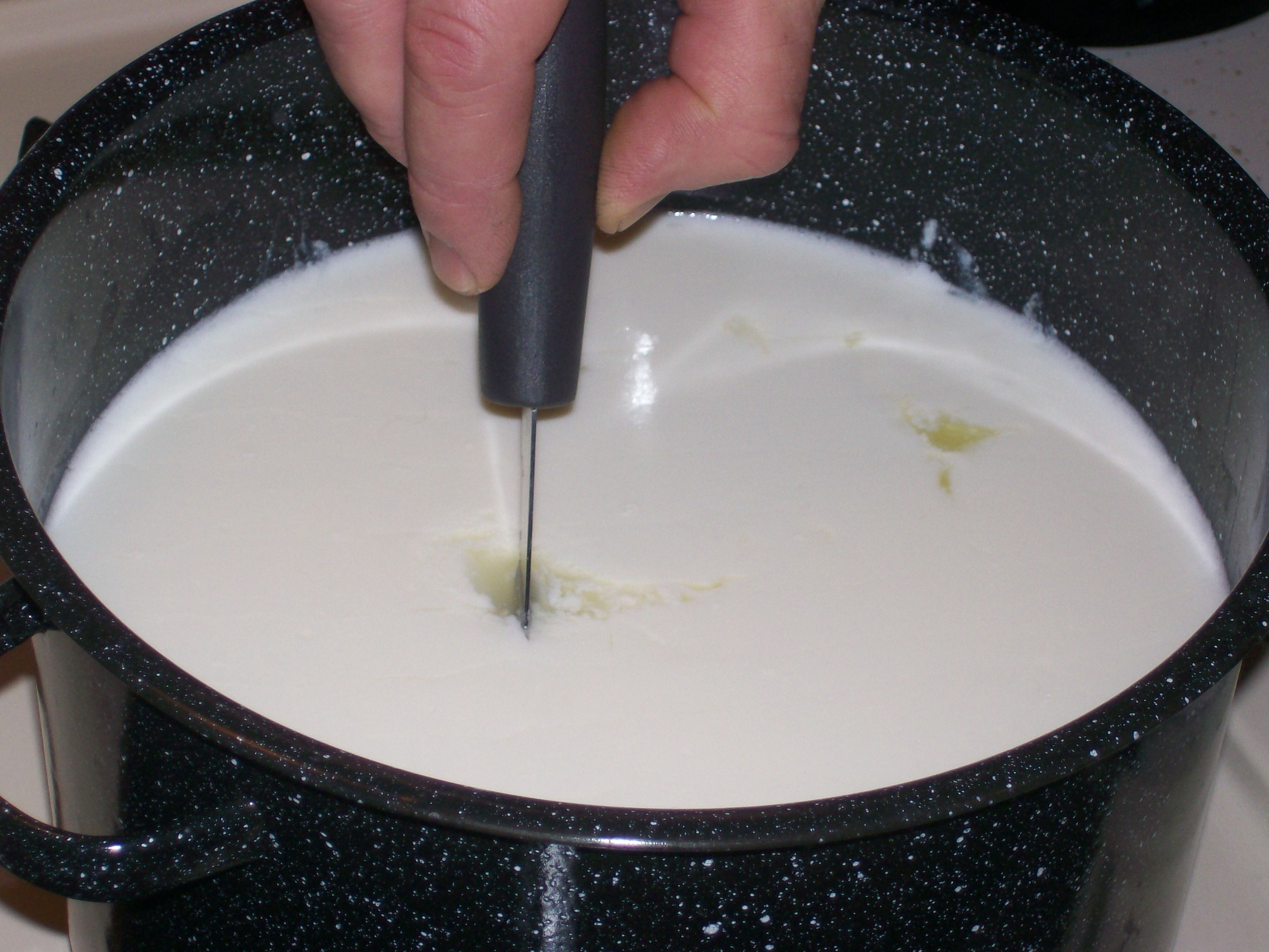 Cut Curd2.jpg