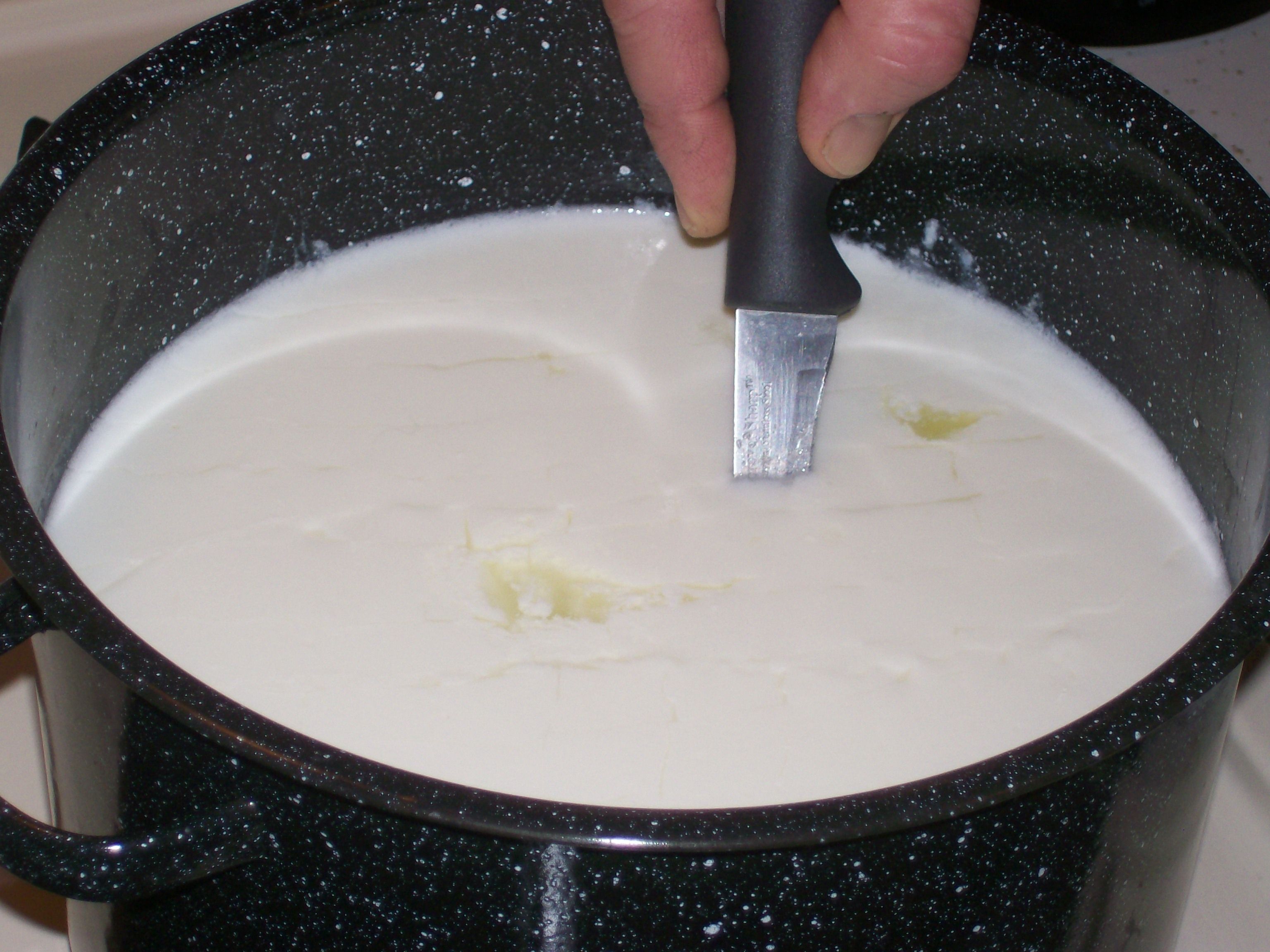 Cut Curd3.jpg