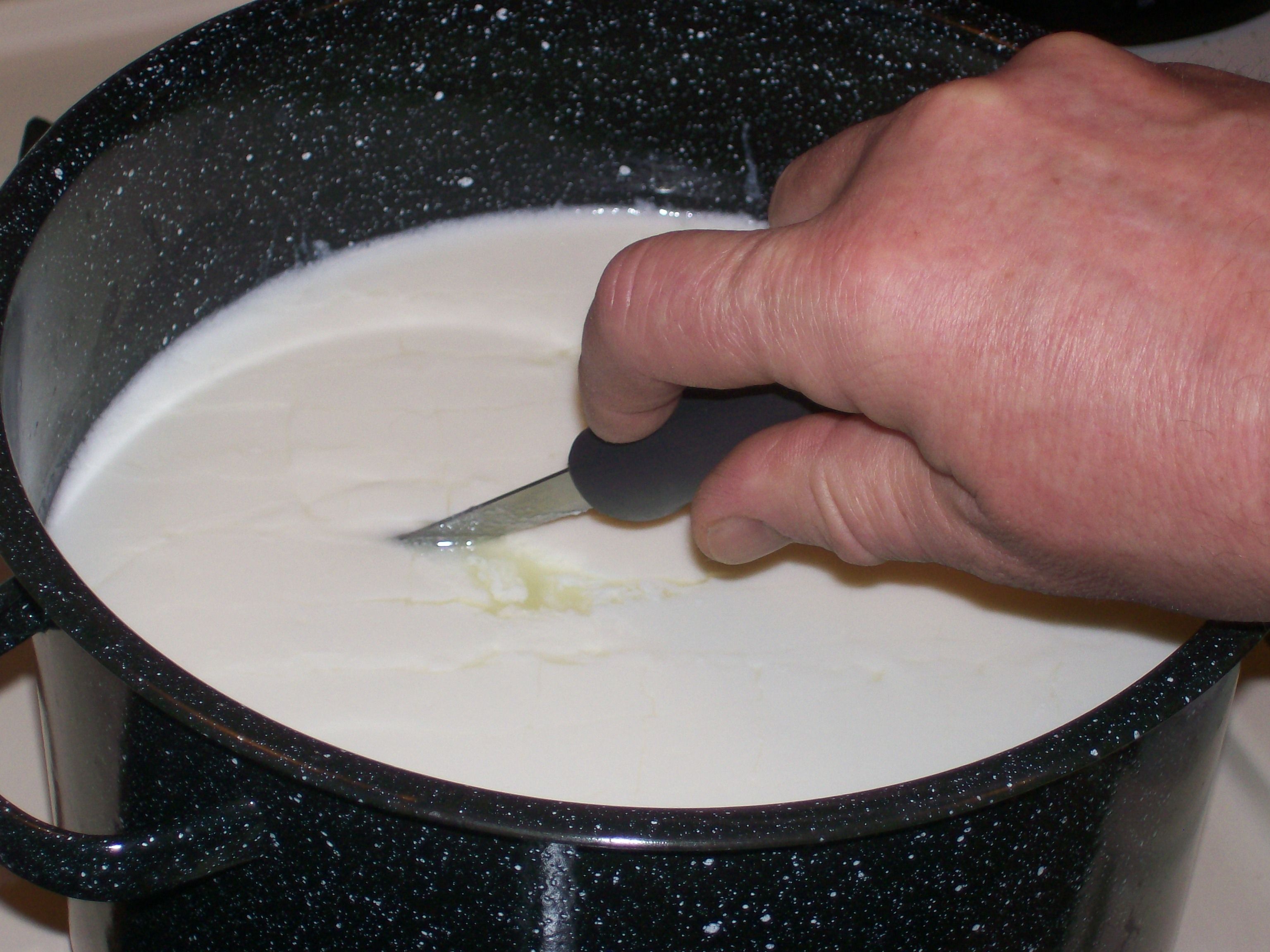 Cut Curd4.jpg