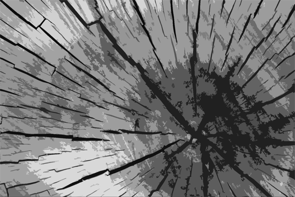 Cut Out Wood 1.jpg